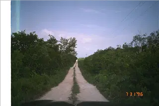 small_9607 2407 MexicoImg0050.webp